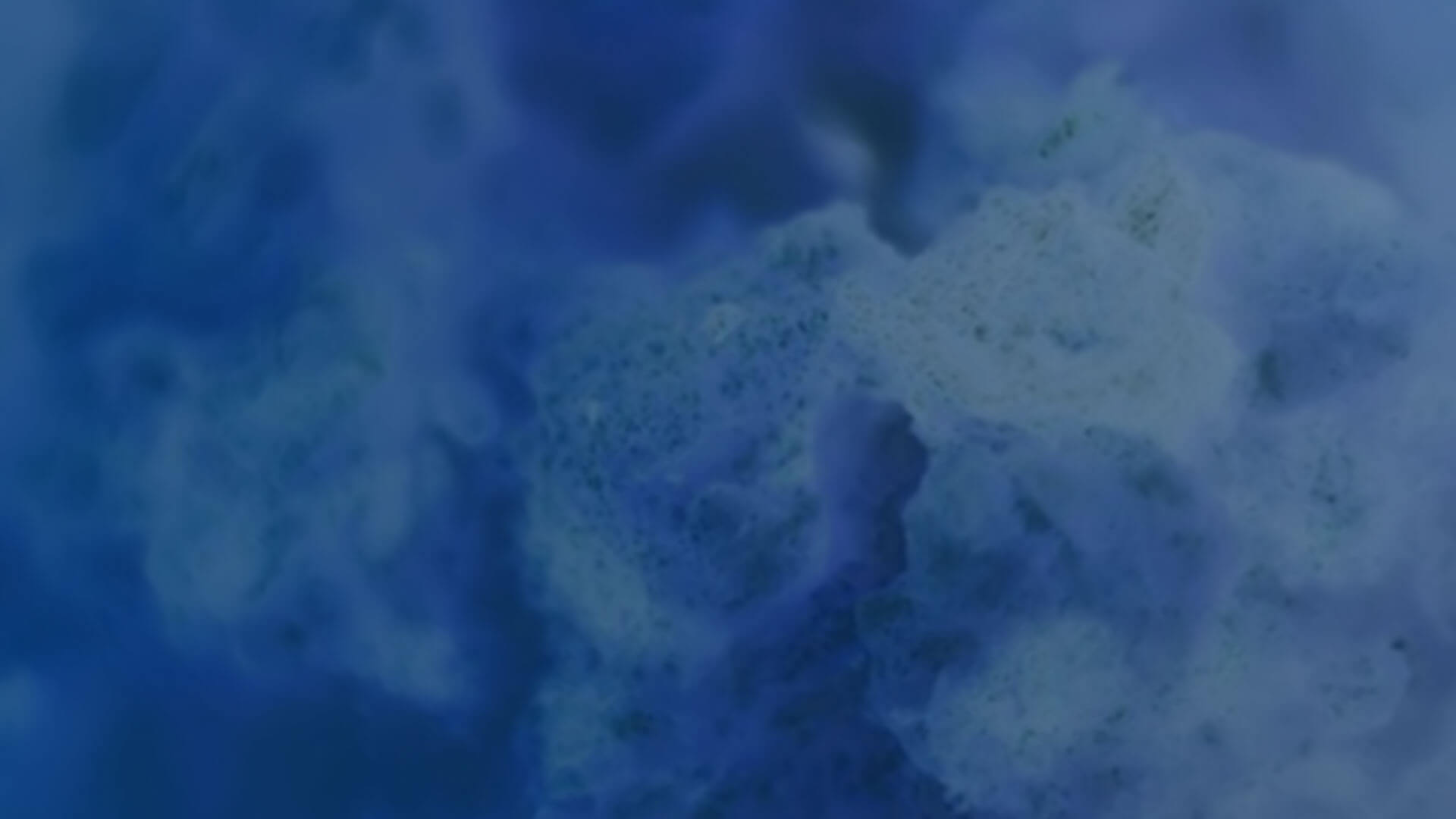 虚拟课程背景图